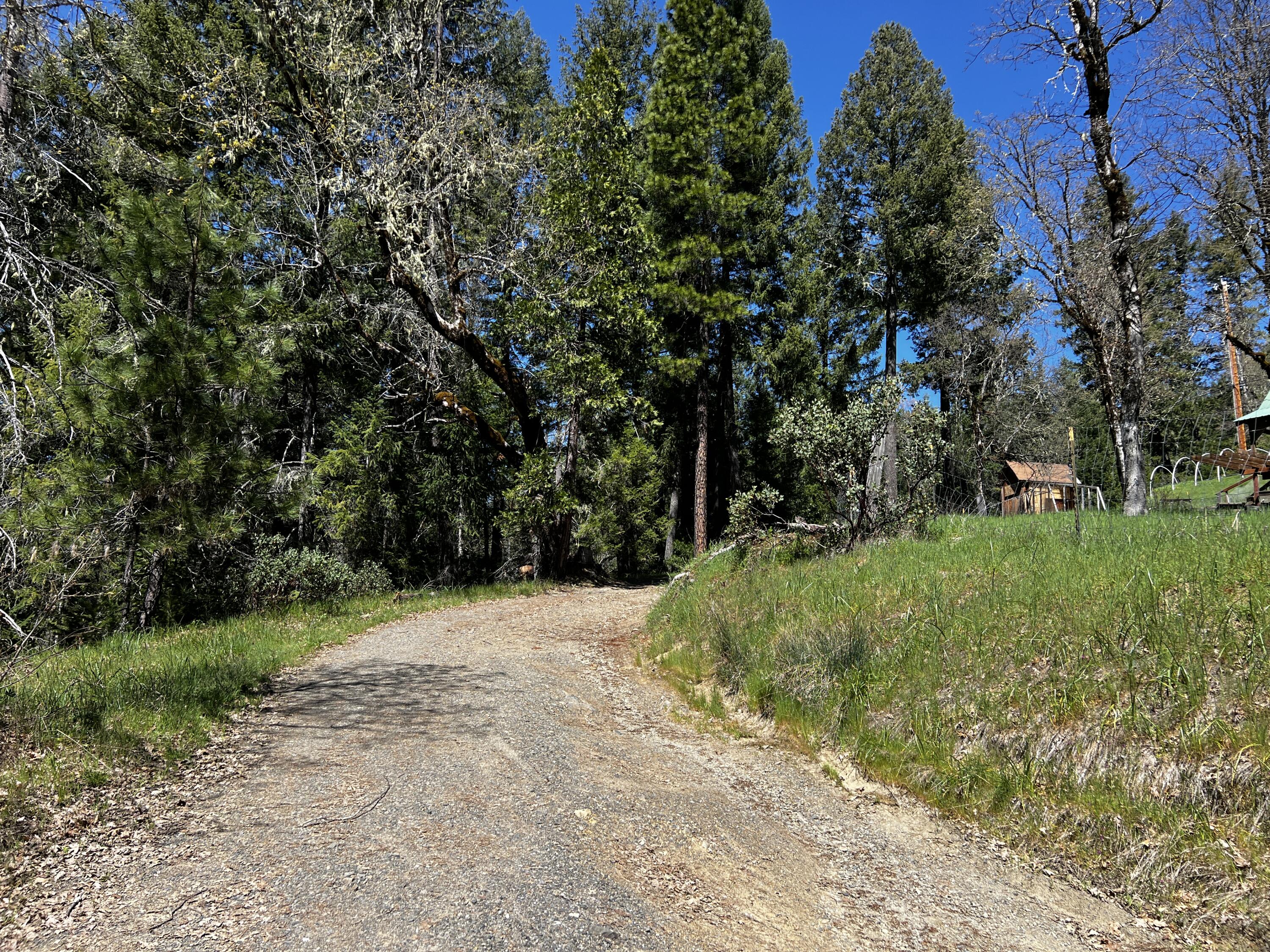 210 Mad River Road Mad River, CA 95552 - Photo 11 of 70