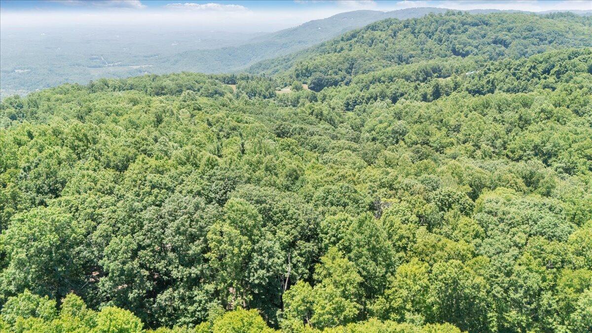 Tbd Dogwood Ridge Fancy Gap, VA 24328 - Photo 12 of 24 04-DJI_20260702131132_0004_D