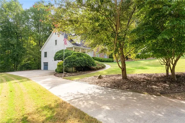 a view of a backyard with plants and large trees