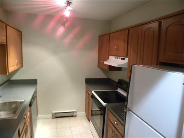 202 West Springfield Street, Unit 2 Boston, MA 02118 - Photo 3 of 7 Gallery Image 3
