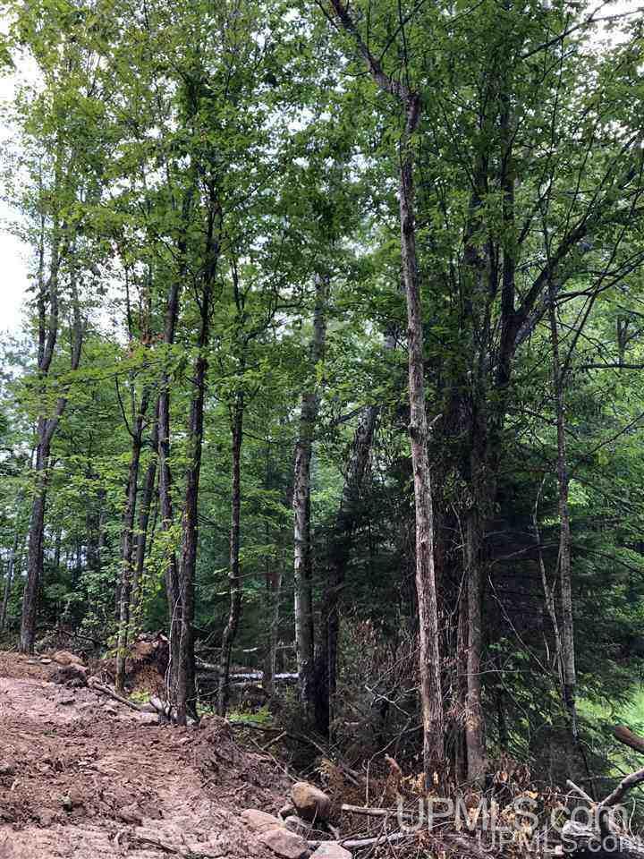 Tbd Deer Lake Road Ishpeming, MI 49849 - Photo 24 of 47
