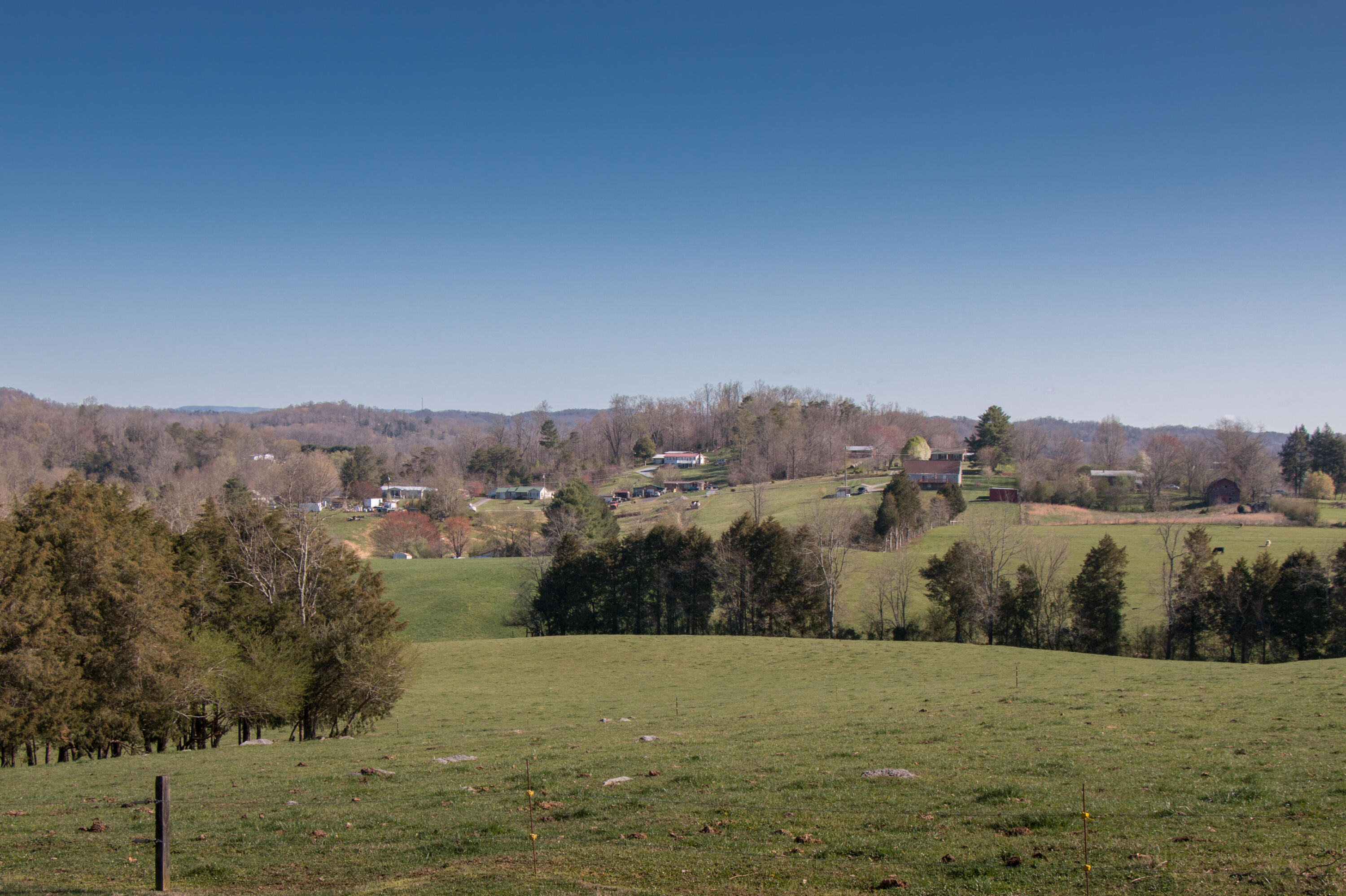 296 Boyd Road Bluff City, TN 37618 - Photo 49 of 62 Boyd-28