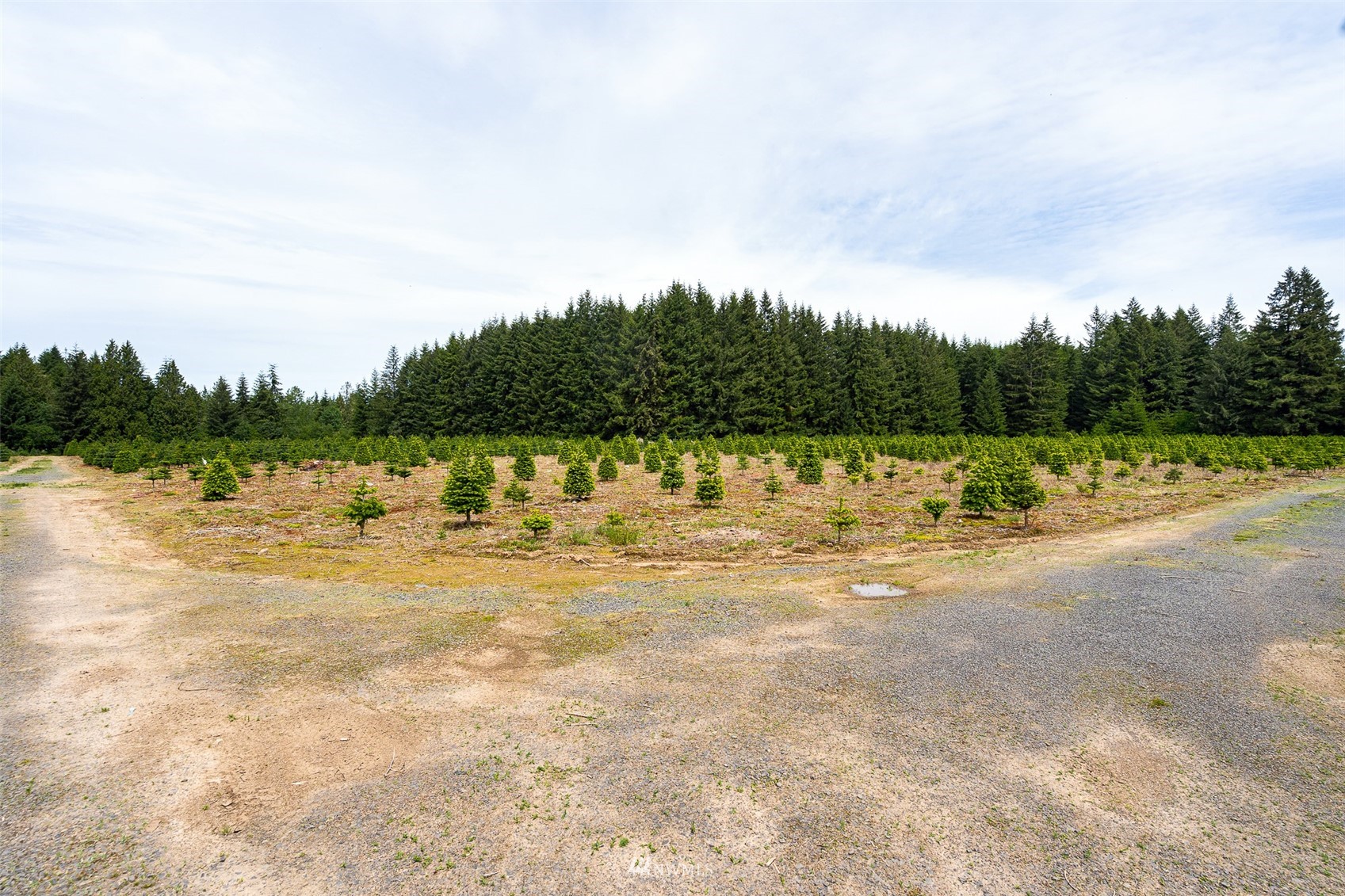 0 North Prairie Road Napavine, WA 98532 - Photo 18 of 24 a view of a lake view