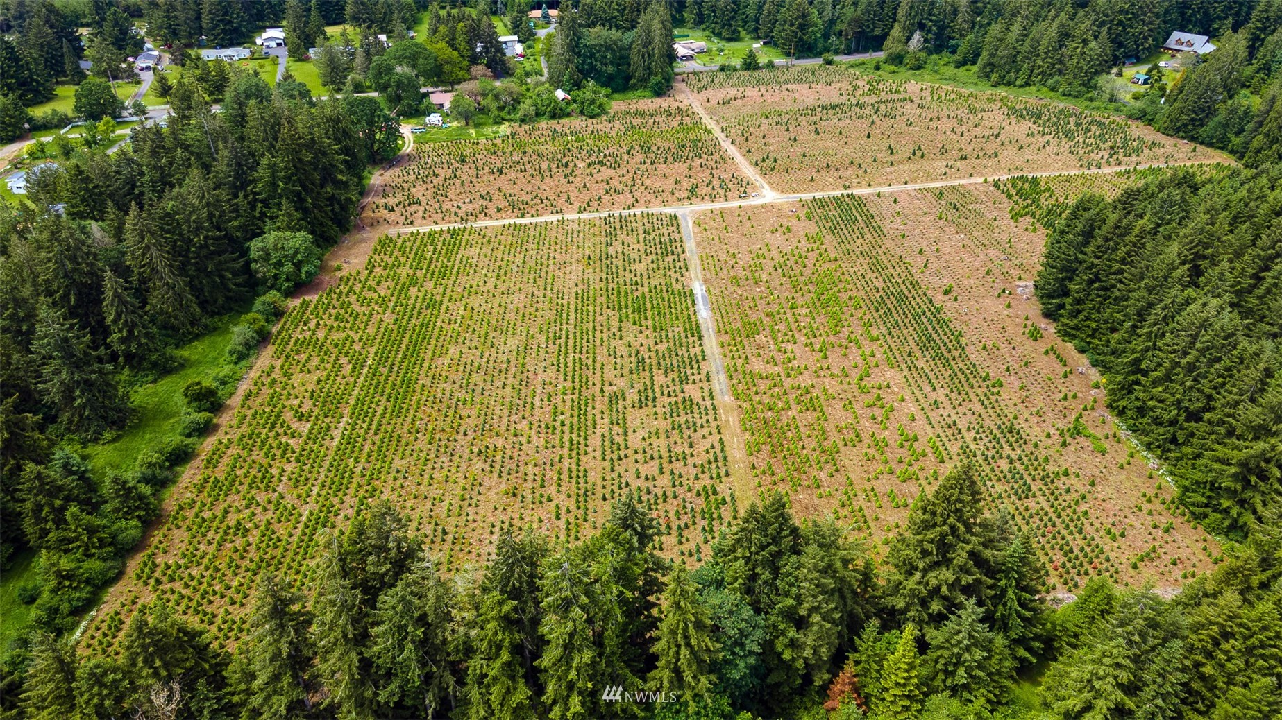 0 North Prairie Road Napavine, WA 98532 - Photo 19 of 24 a view of a yard