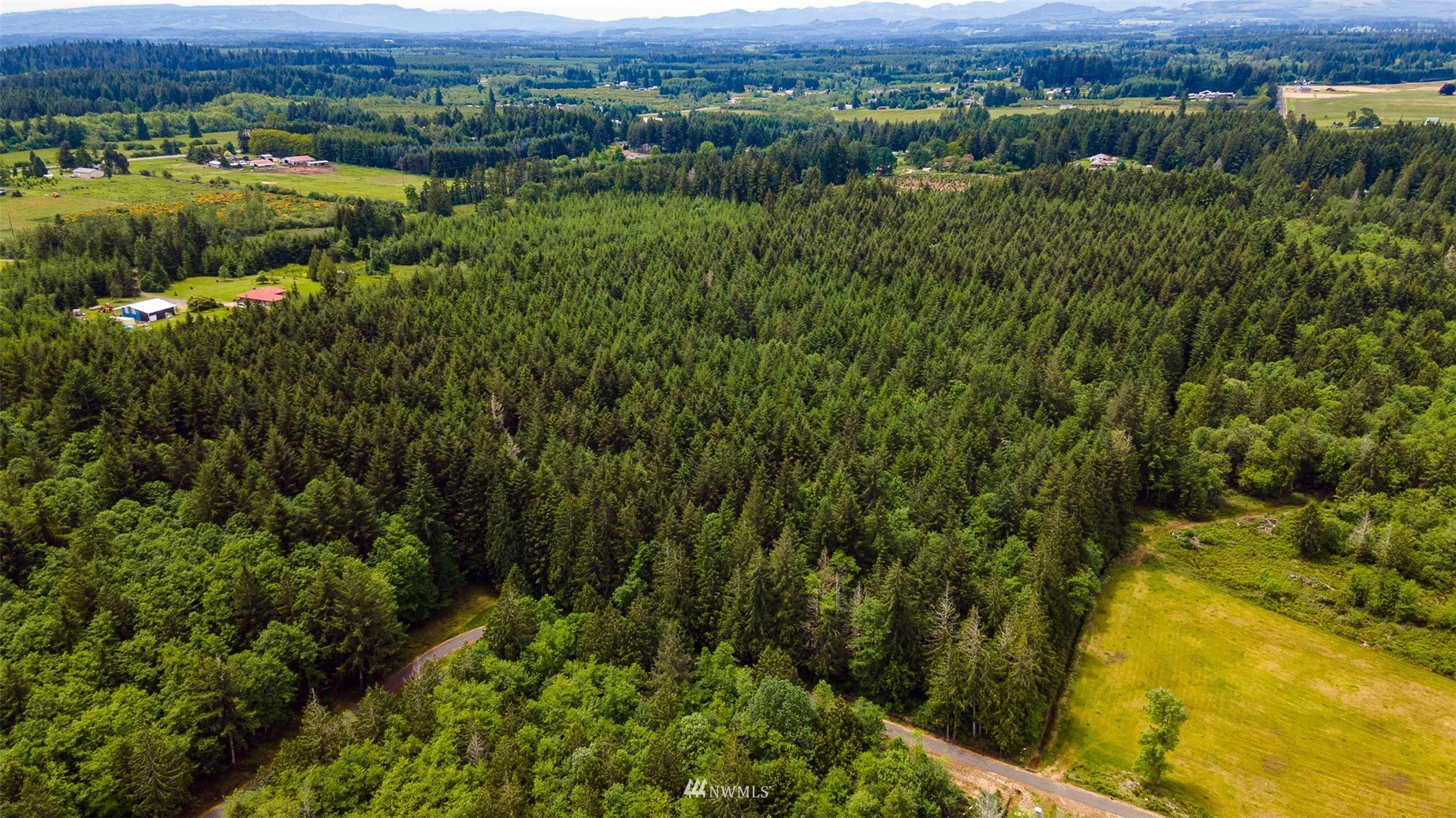 0 North Prairie Road Napavine, WA 98532 - Photo 23 of 24 a view of a lush green field with a view of mountains in the background