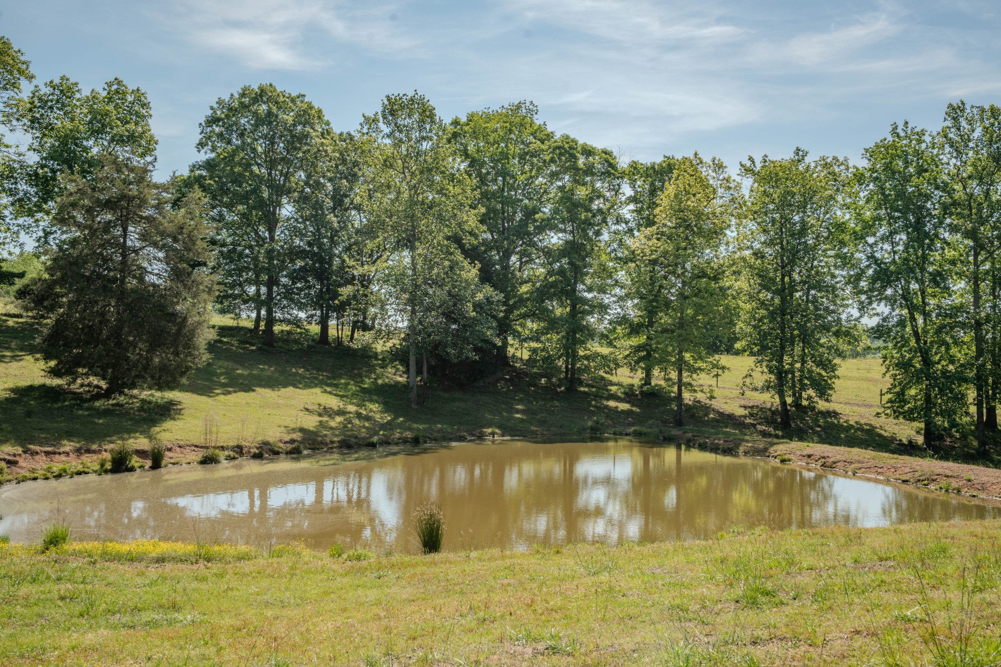 875 Waterloo Road Westpoint, TN 38486 - Photo 79 of 89 Gallery Image 79
