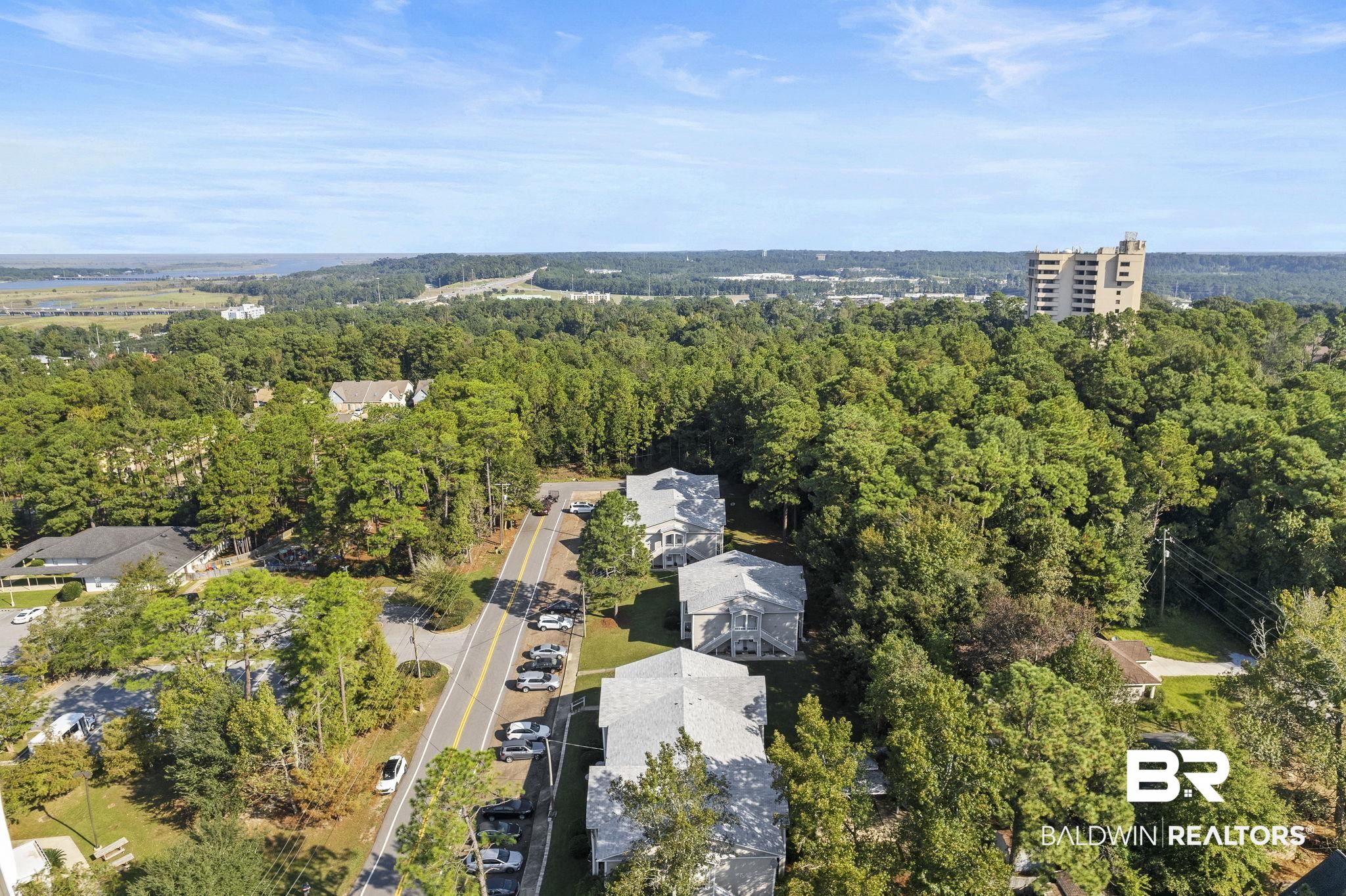 110 5th Street, Unit C103 Daphne, AL 36526 - Photo 39 of 46 Birds eye view of property