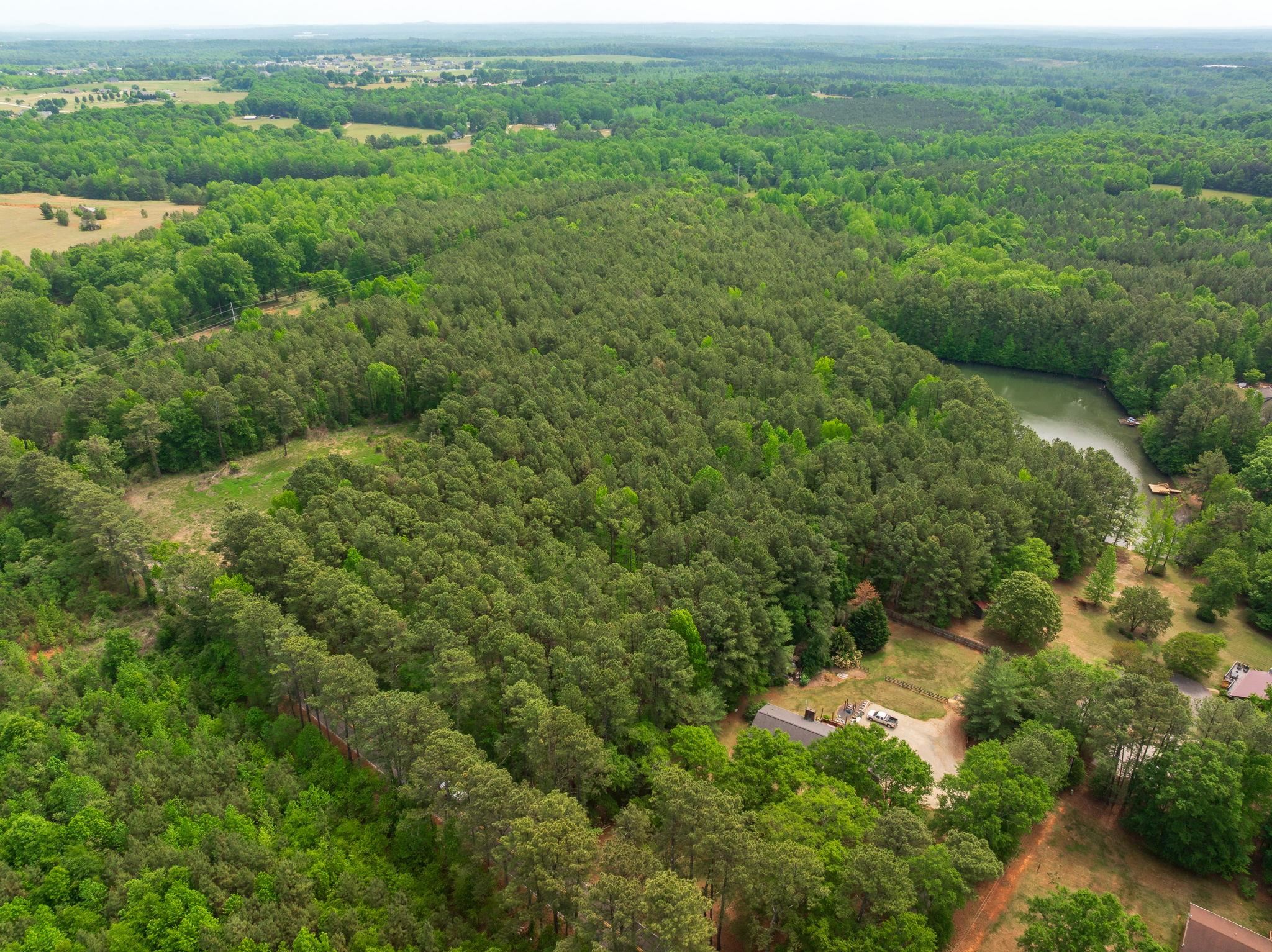 Lot 6 Cannons Campground Road Cowpens, SC 29330 - Photo 3 of 20 Gallery Image 3