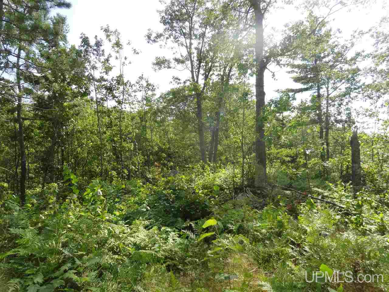 143-acres County Rd FF Republic, MI 49879 - Photo 11 of 18