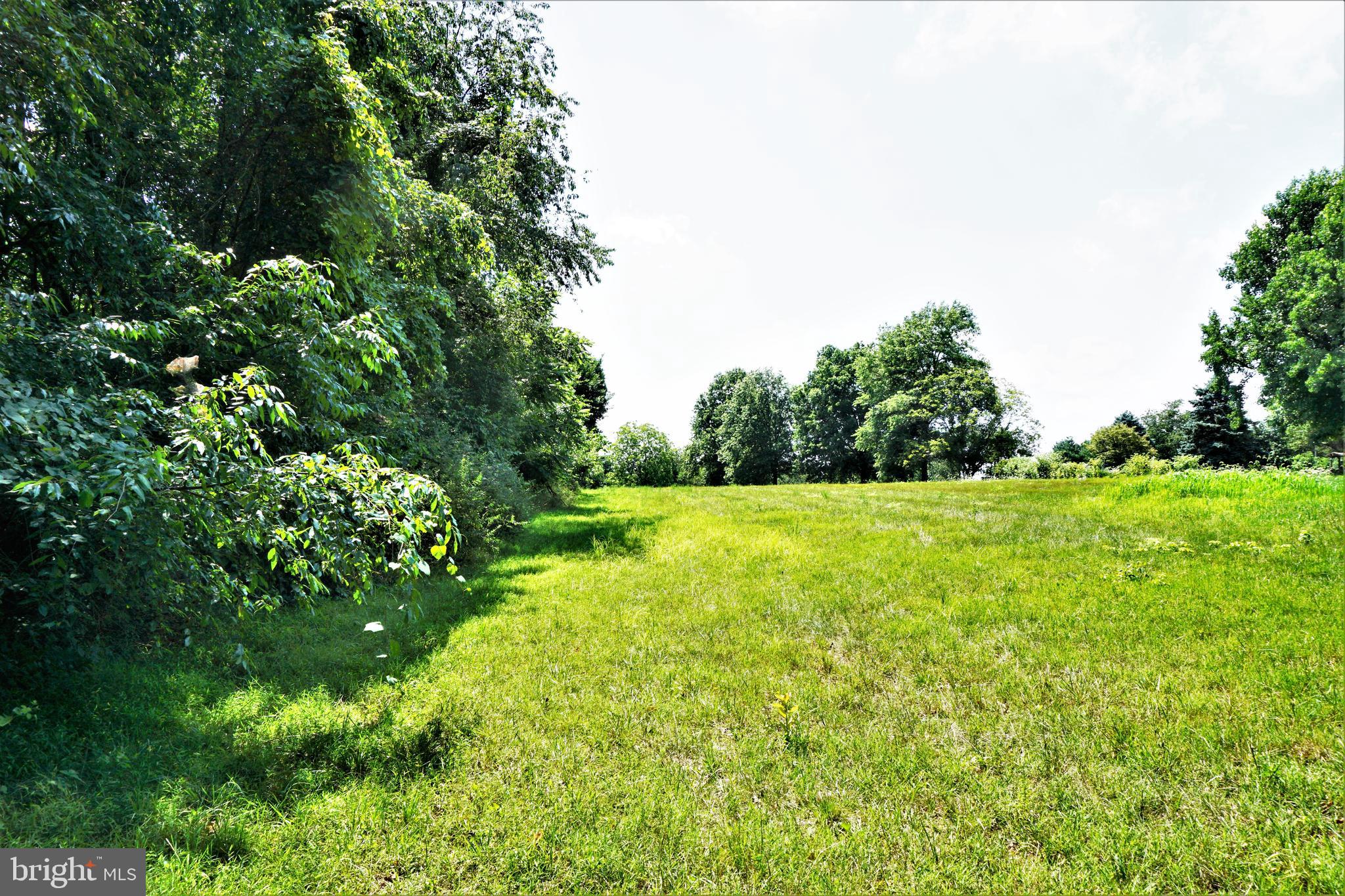 325 Ness Road York, PA 17402 - Photo 18 of 43 Pasture view.