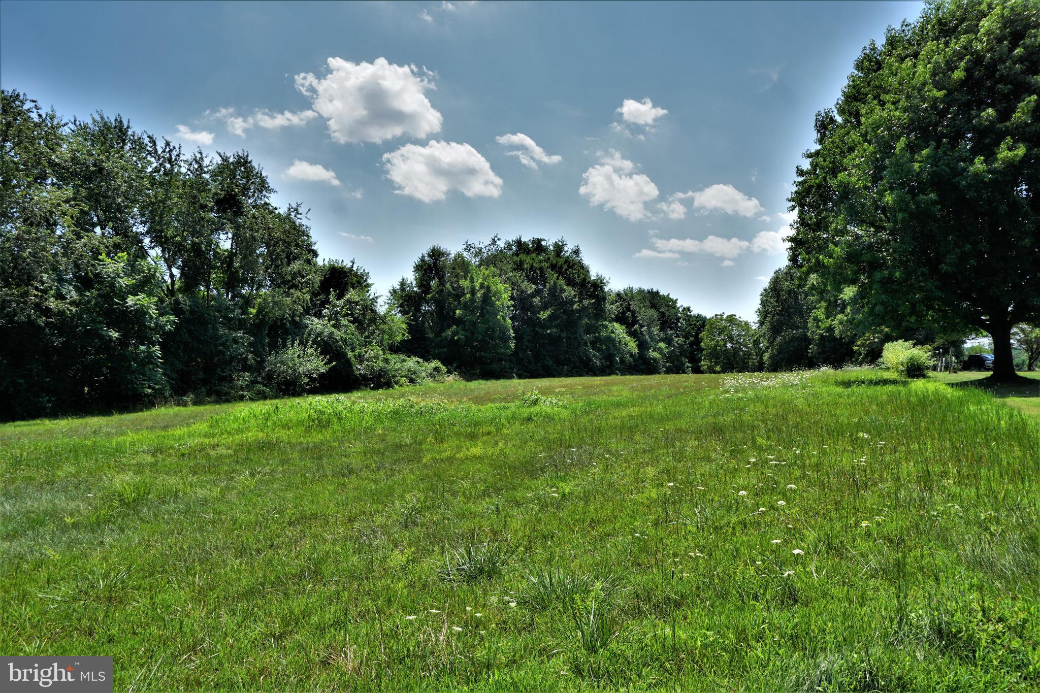 325 Ness Road York, PA 17402 - Photo 19 of 43 Pasture view