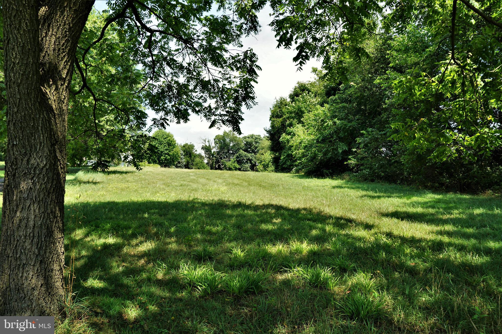 325 Ness Road York, PA 17402 - Photo 5 of 43 Pasture