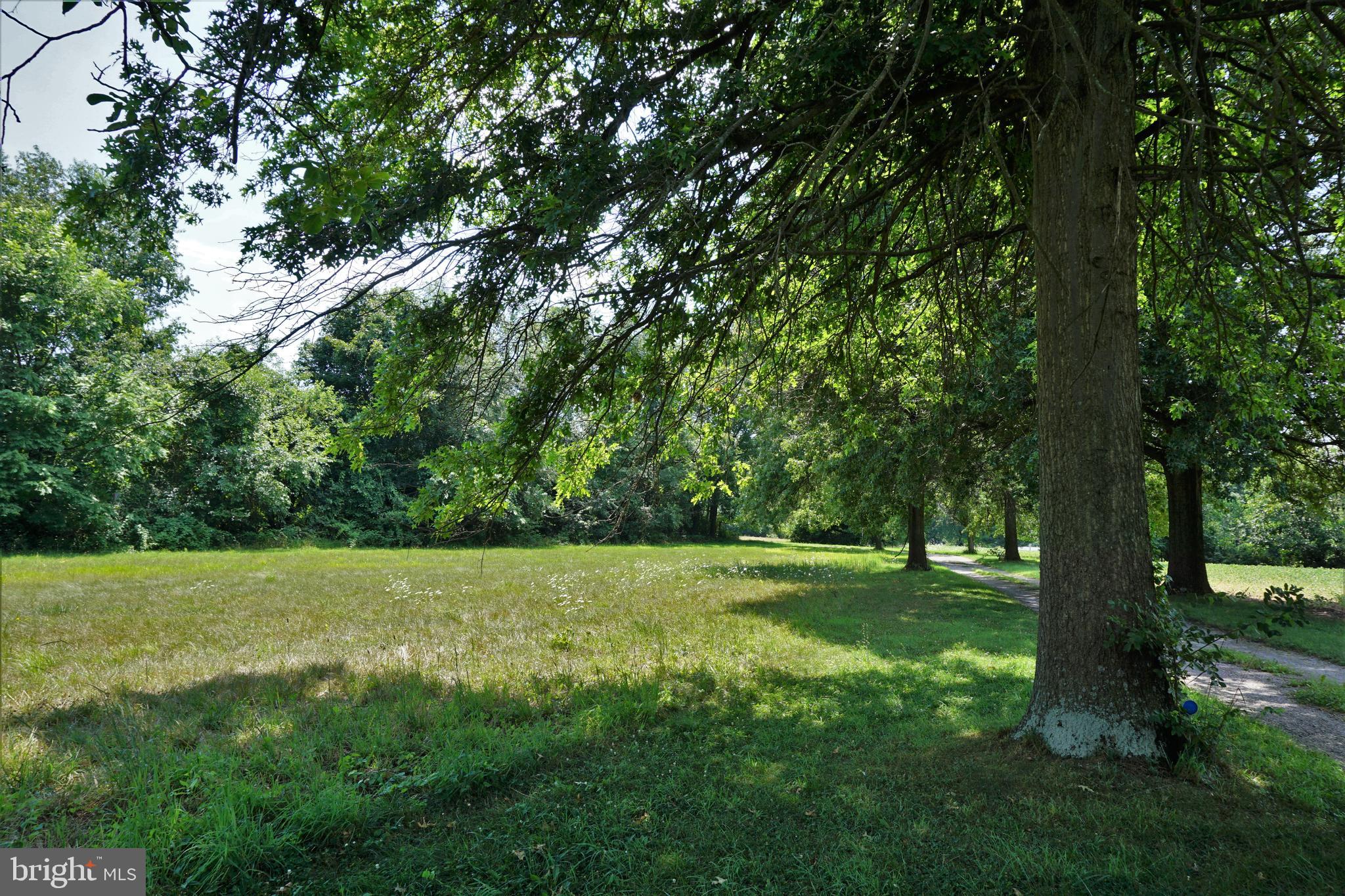 325 Ness Road York, PA 17402 - Photo 6 of 43 Pasture field.
