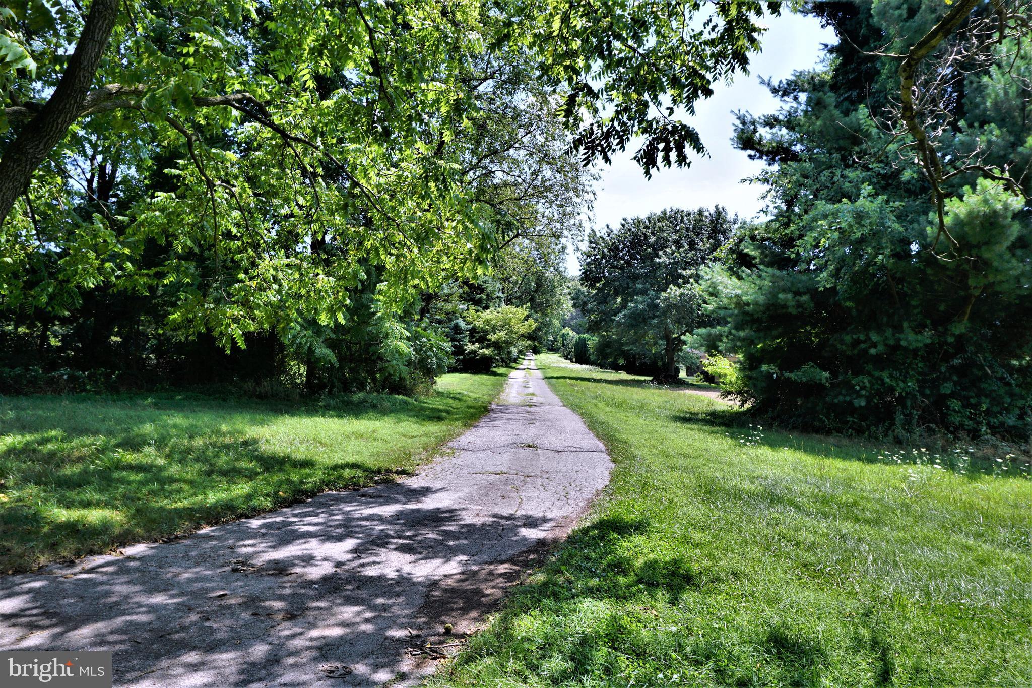 325 Ness Road York, PA 17402 - Photo 7 of 43 Drive view out to Ness Rd.