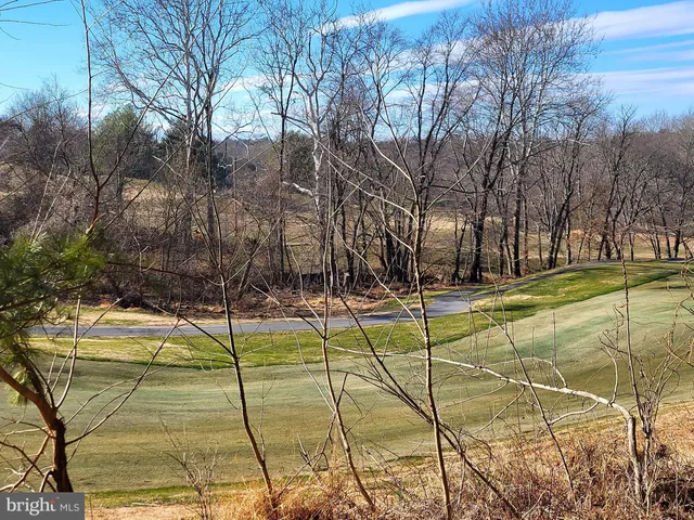 a view of a swimming pool with an outdoor space