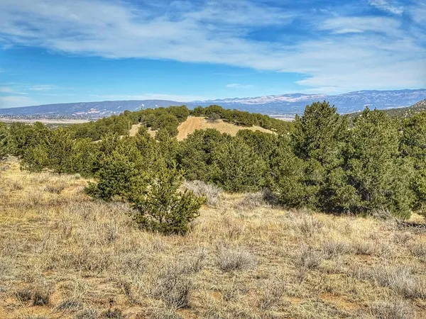 $85,000 | 572 County Road 572, Gardner, CO 81040