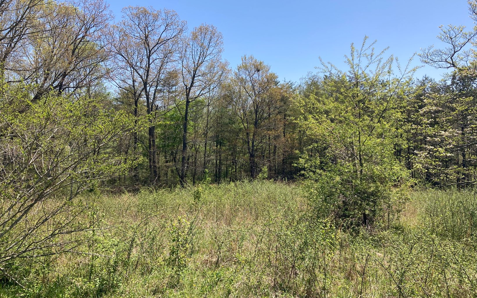 1 & 2 Blue Ridge North Kingstown, RI 02852 - Photo 4 of 4 Additional View