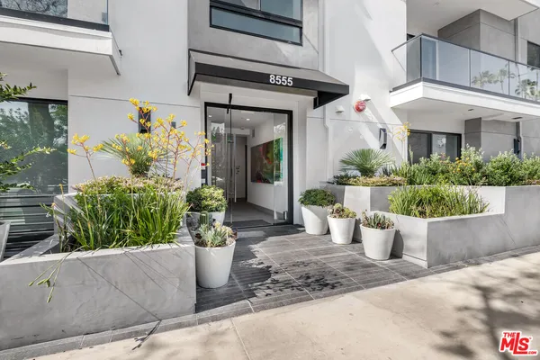 a view of a house with potted plants
