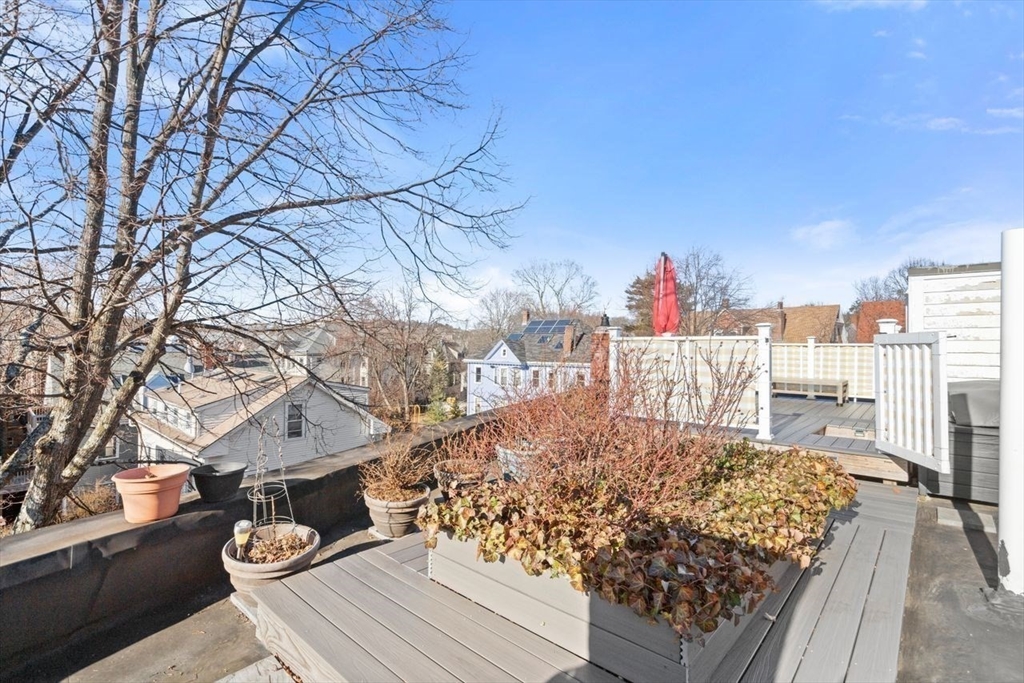 96 Brook Street, Unit 3 Brookline, MA 02445 - Photo 22 of 32 a balcony with wooden floor and large trees