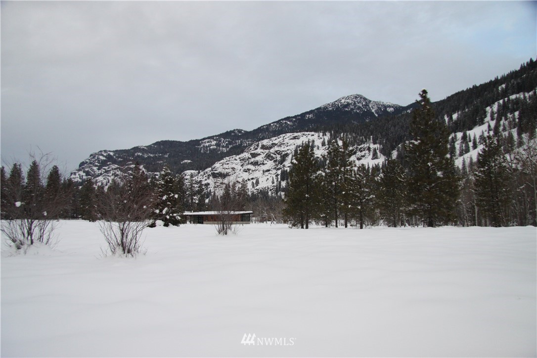 488 Goat Creek Road Mazama, WA 98833 - Photo 1 of 25 Gallery Image 1