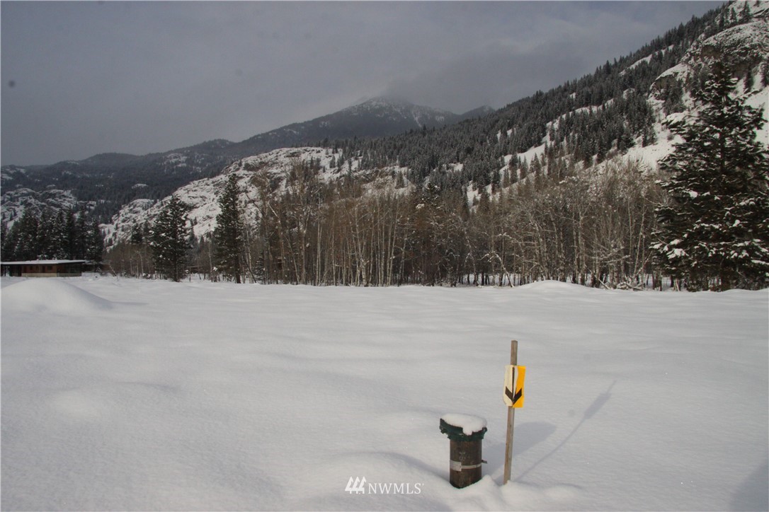 488 Goat Creek Road Mazama, WA 98833 - Photo 2 of 25 Gallery Image 2