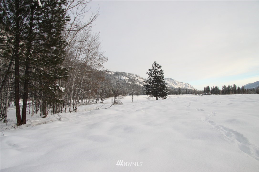 488 Goat Creek Road Mazama, WA 98833 - Photo 12 of 25 Gallery Image 12