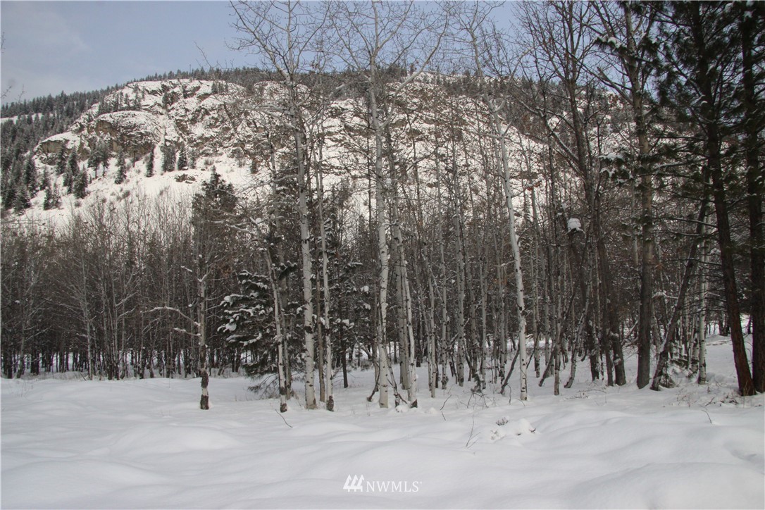 488 Goat Creek Road Mazama, WA 98833 - Photo 13 of 25 Gallery Image 13