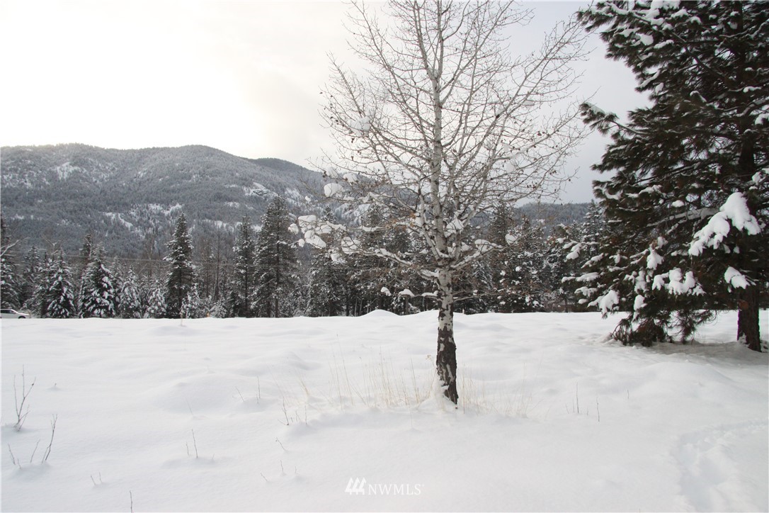 488 Goat Creek Road Mazama, WA 98833 - Photo 14 of 25 Gallery Image 14