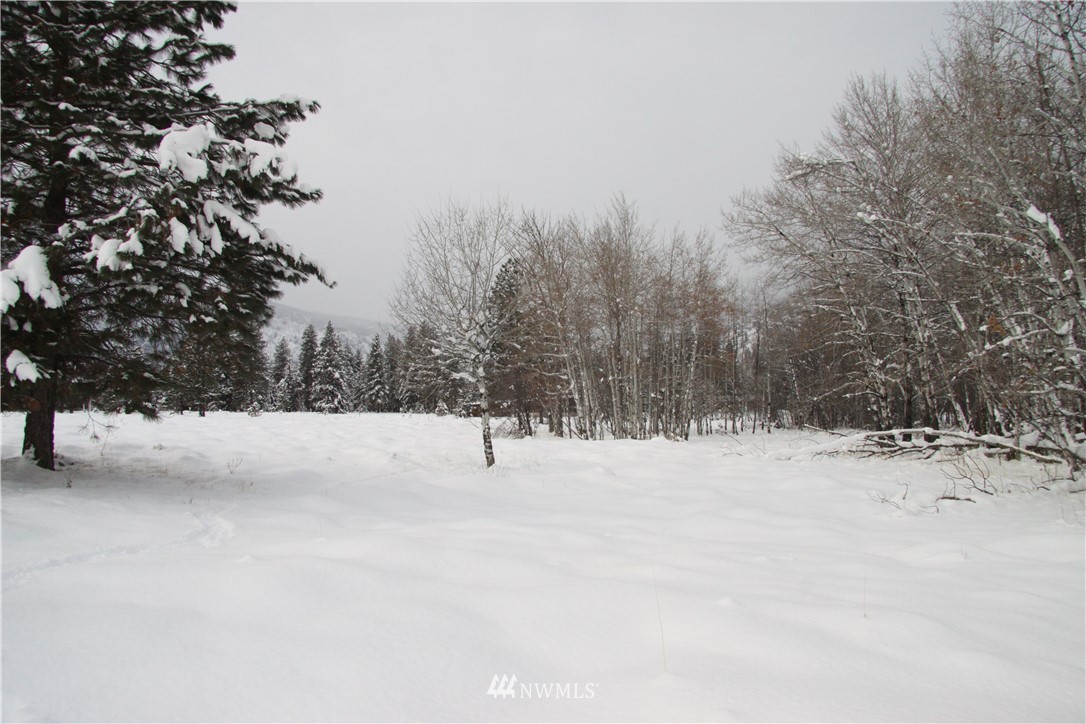488 Goat Creek Road Mazama, WA 98833 - Photo 15 of 25 Gallery Image 15