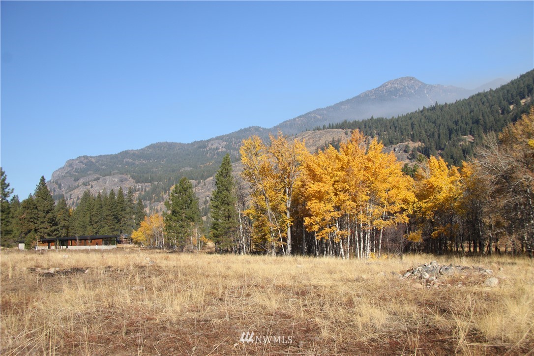 488 Goat Creek Road Mazama, WA 98833 - Photo 16 of 25 Gallery Image 16