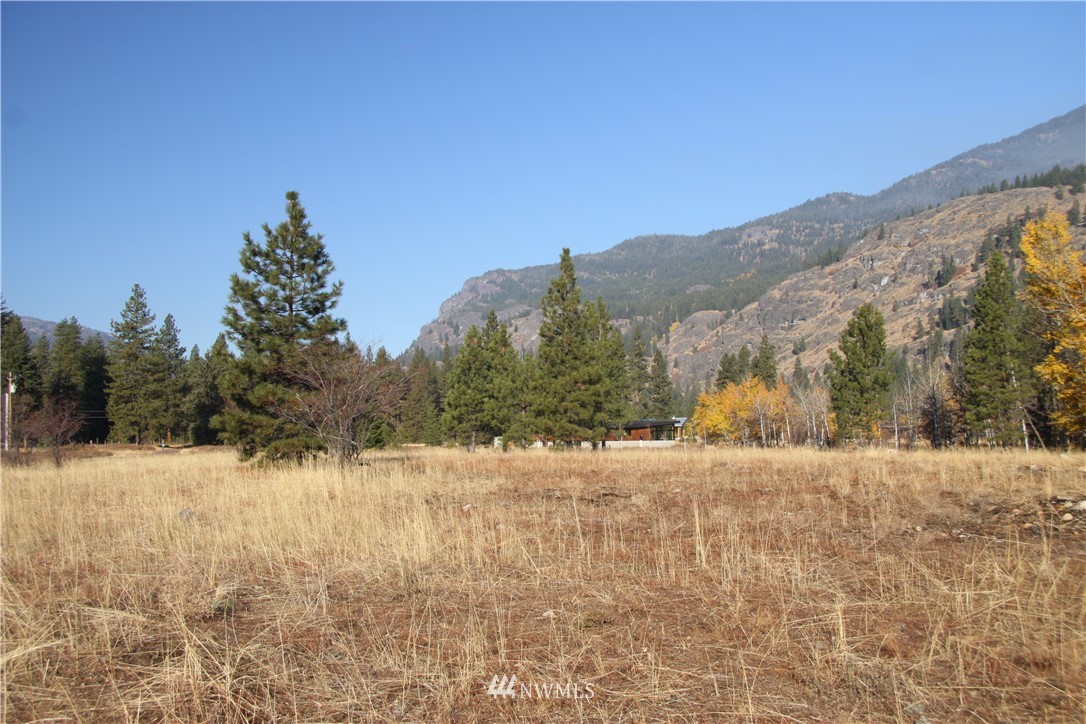 488 Goat Creek Road Mazama, WA 98833 - Photo 17 of 25 Gallery Image 17