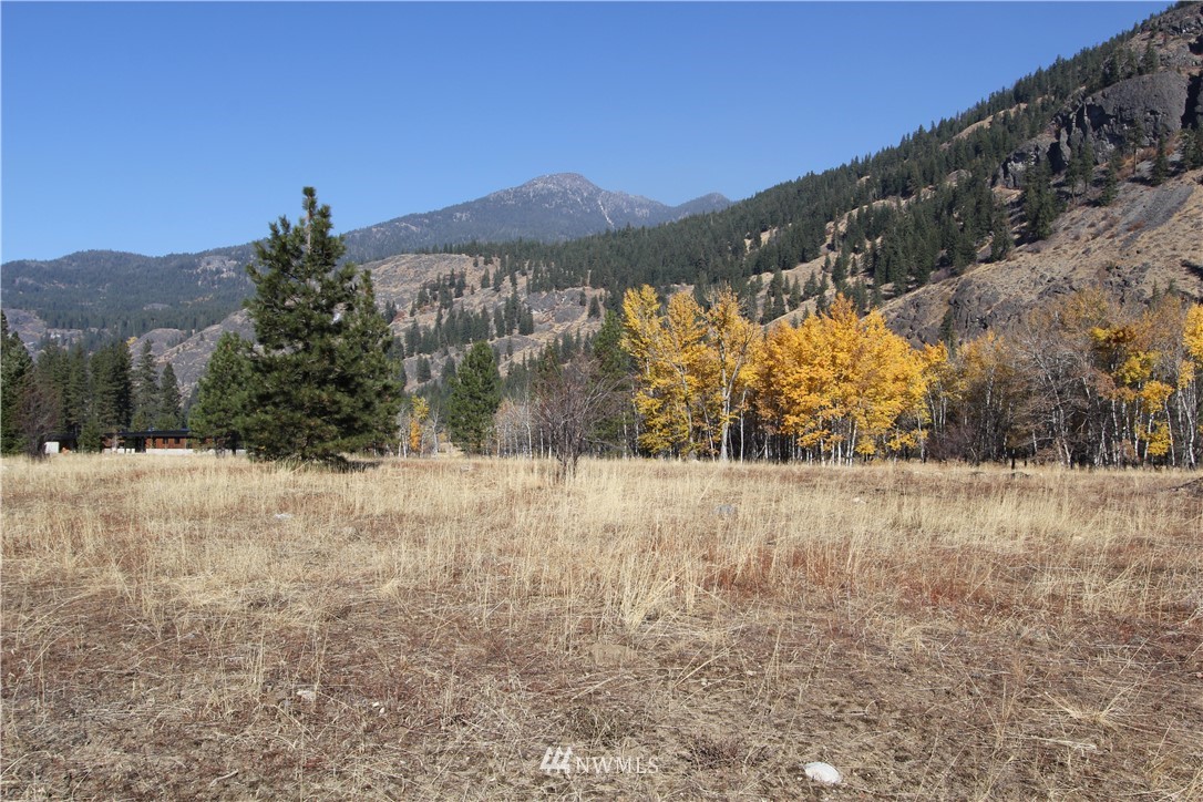 488 Goat Creek Road Mazama, WA 98833 - Photo 19 of 25 Gallery Image 19
