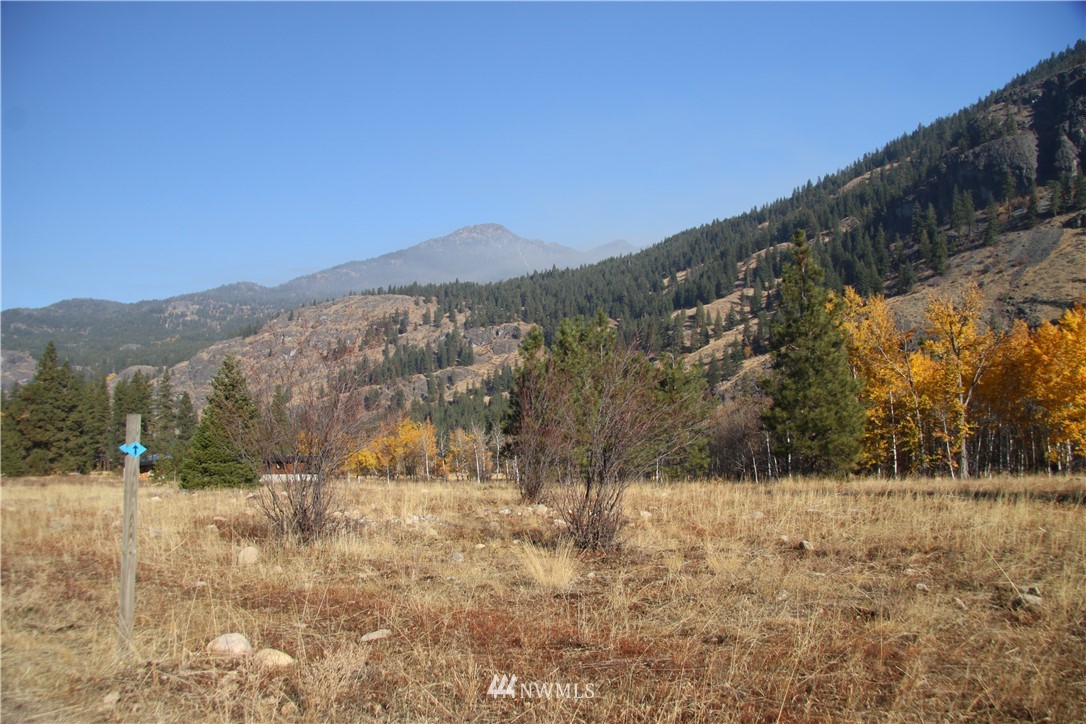 488 Goat Creek Road Mazama, WA 98833 - Photo 20 of 25 Gallery Image 20