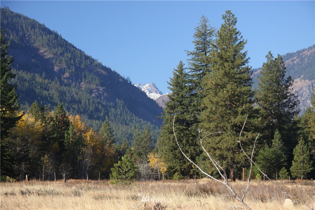 488 Goat Creek Road Mazama, WA 98833 - Photo 21 of 25 Gallery Image 21