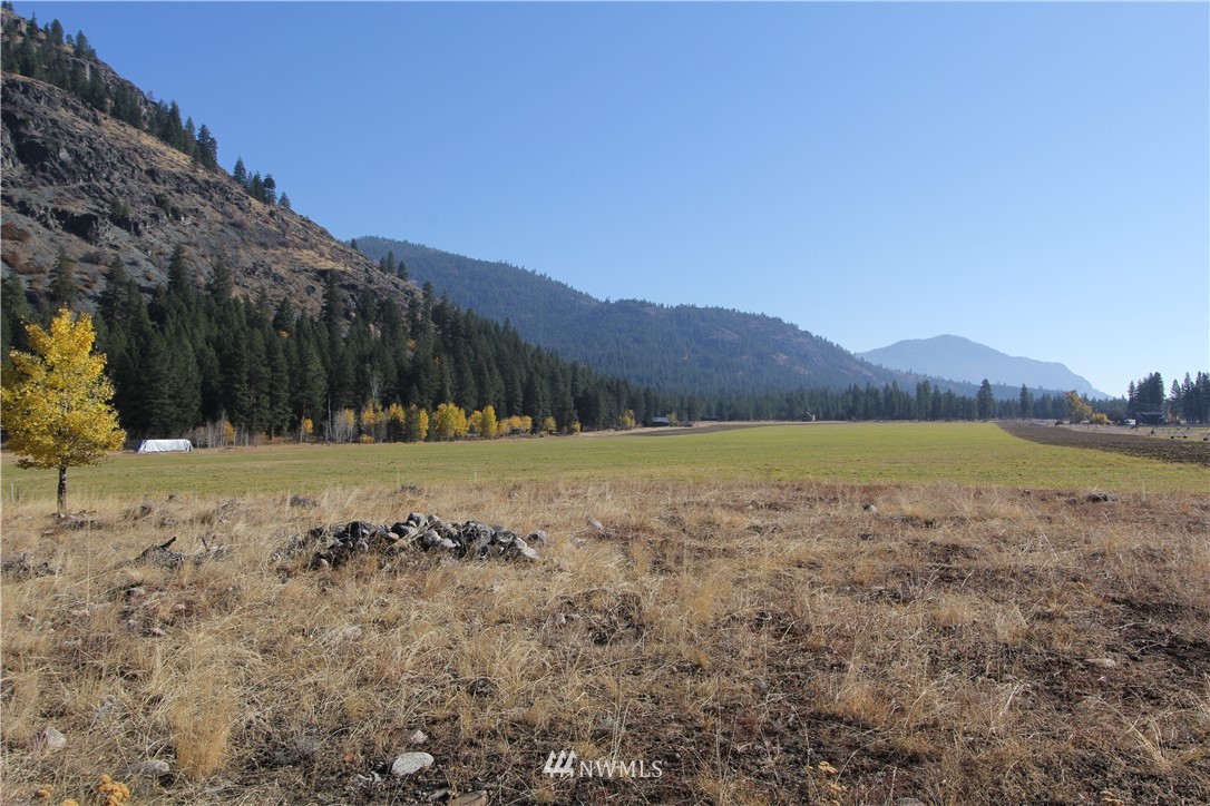 488 Goat Creek Road Mazama, WA 98833 - Photo 23 of 25 Gallery Image 23