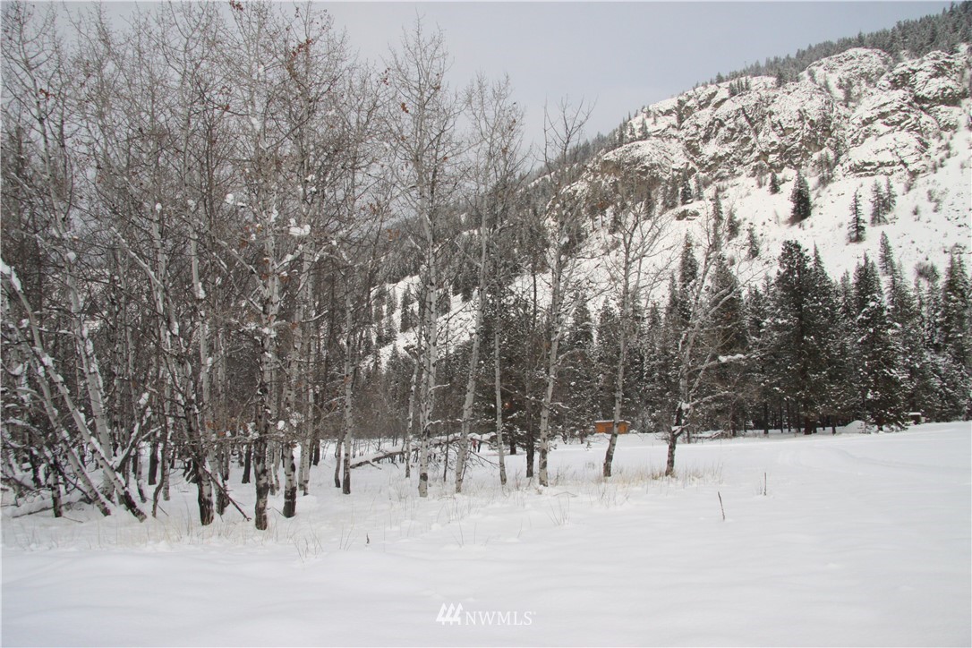 488 Goat Creek Road Mazama, WA 98833 - Photo 4 of 25 Gallery Image 4