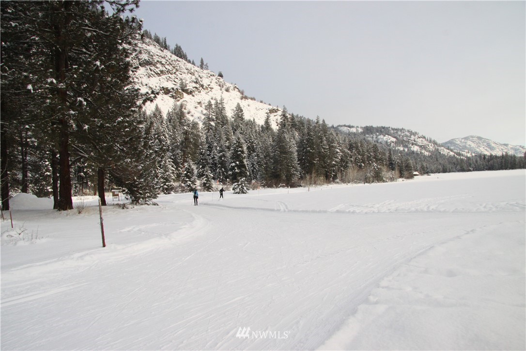 488 Goat Creek Road Mazama, WA 98833 - Photo 6 of 25 Gallery Image 6