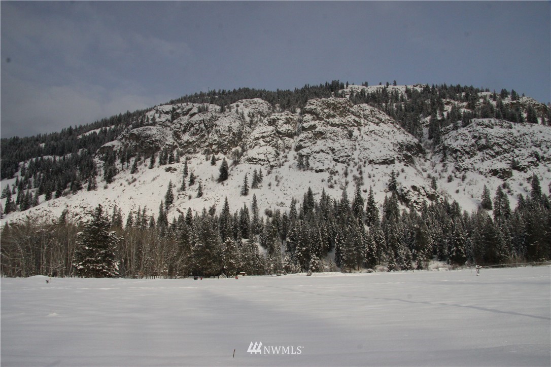 488 Goat Creek Road Mazama, WA 98833 - Photo 8 of 25 Gallery Image 8