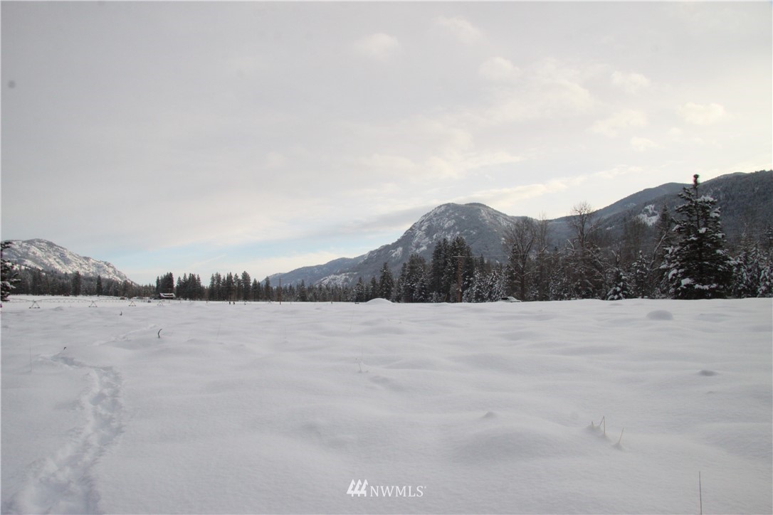 488 Goat Creek Road Mazama, WA 98833 - Photo 9 of 25 Gallery Image 9