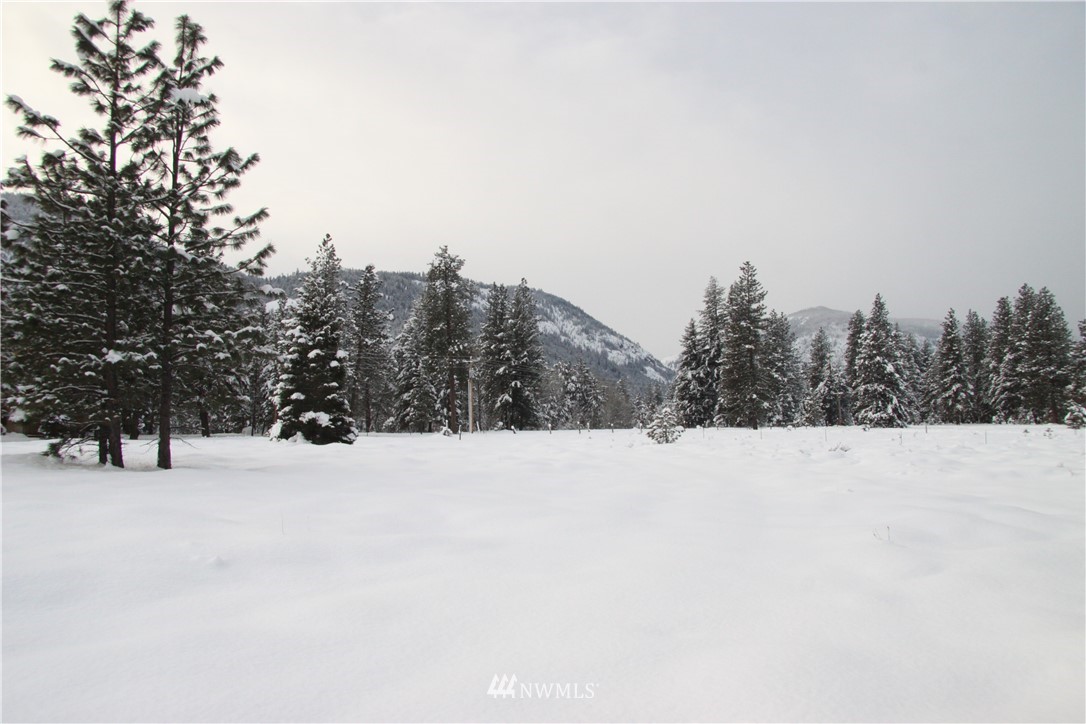 488 Goat Creek Road Mazama, WA 98833 - Photo 10 of 25 Gallery Image 10