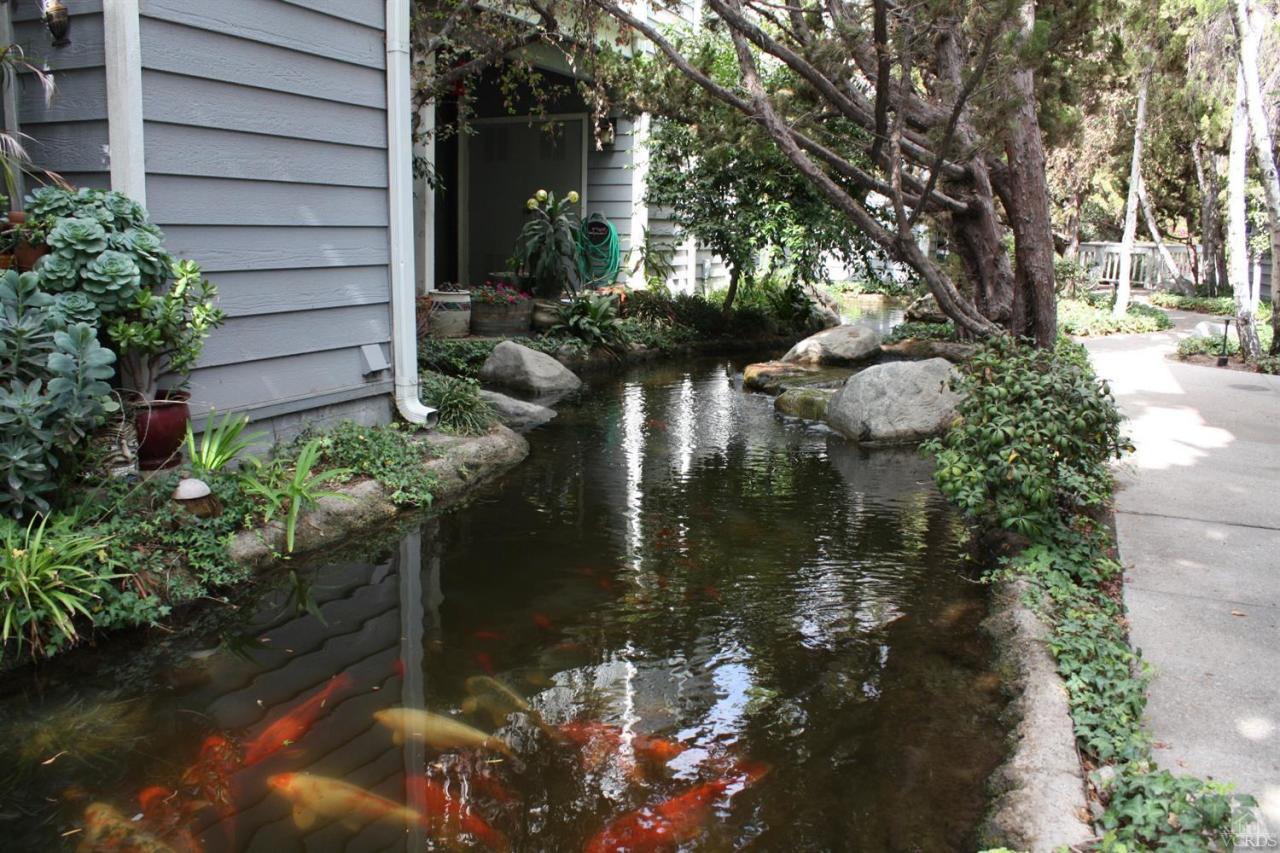 661 Arneill Road Camarillo, CA 93010 - Photo 1 of 22 a view of a lake with a fountain