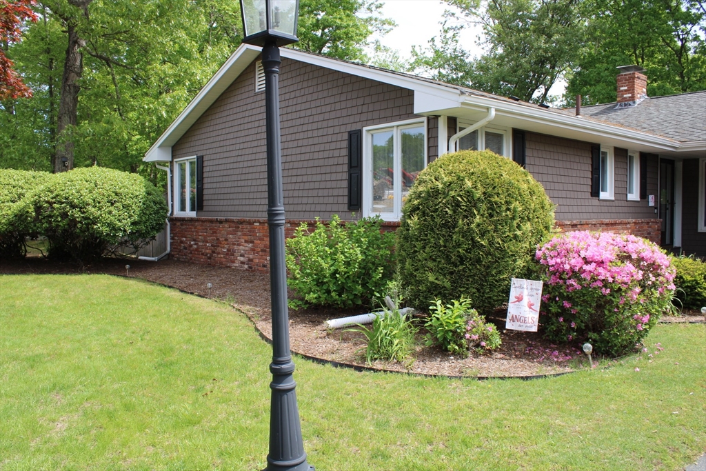 225 Braemoor Road Brockton, MA 02301 - Photo 2 of 29 a view of a backyard with plants