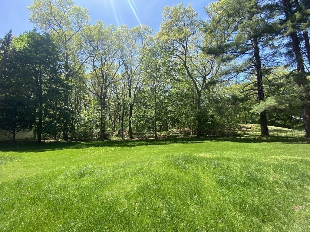 64 Shade Street Lexington, MA 02421 - Photo 28 of 32 Gallery Image 28