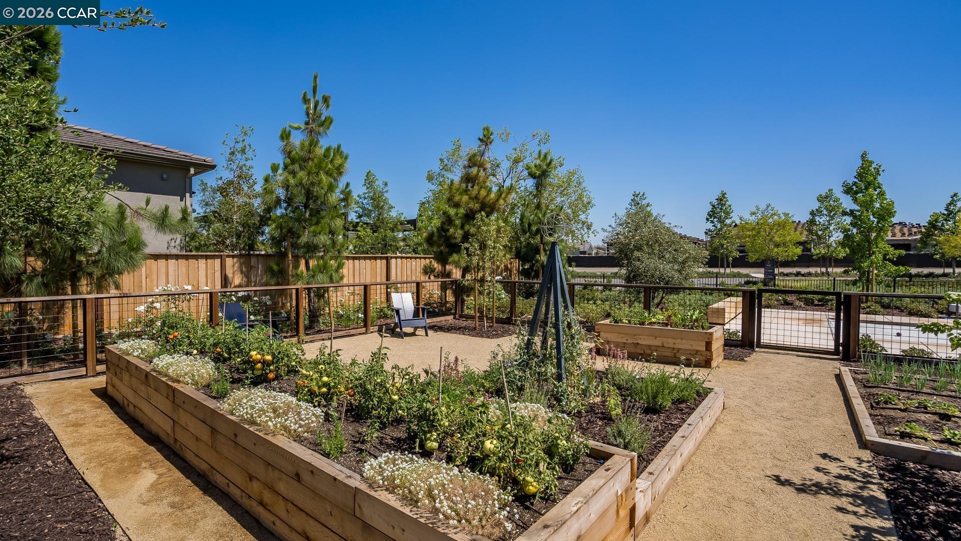1885 Cascade Lane Tracy, CA 95377 - Photo 36 of 40 a view of a garden with sitting area