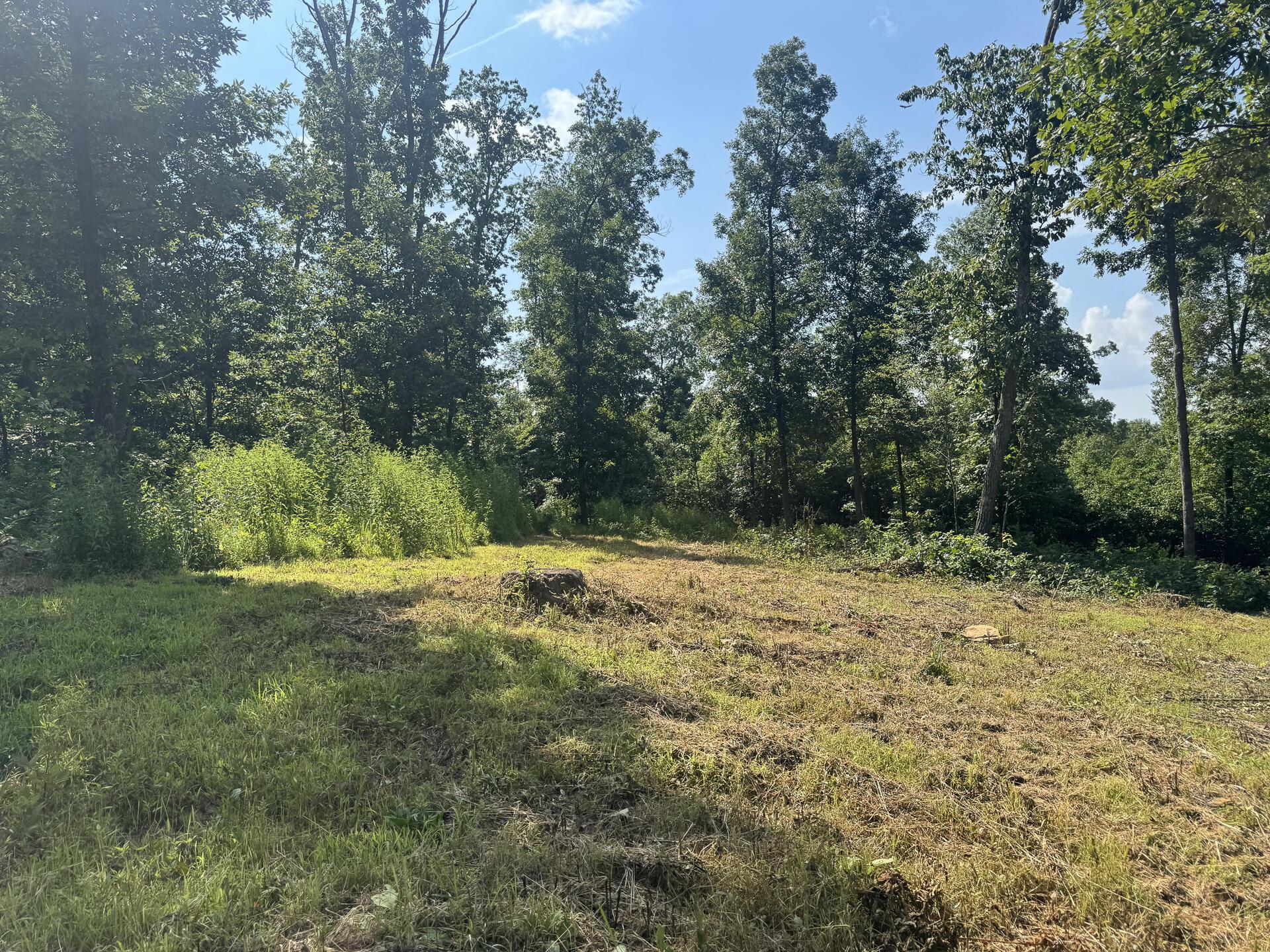 56 Golf Course Road, Unit TRACT 14 SKYLINEACRES) Waverly, OH 45690 - Photo 29 of 51 CT-29