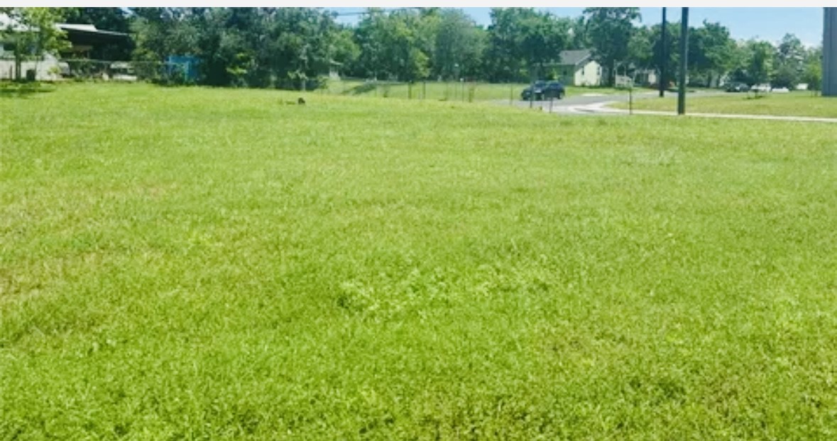 510 West Brenham Street Elgin, TX 78621 - Photo 10 of 17 a view of field with trees in the background