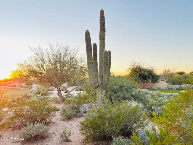 $12,000 | 19838 North 84th Street, Scottsdale, AZ 85255