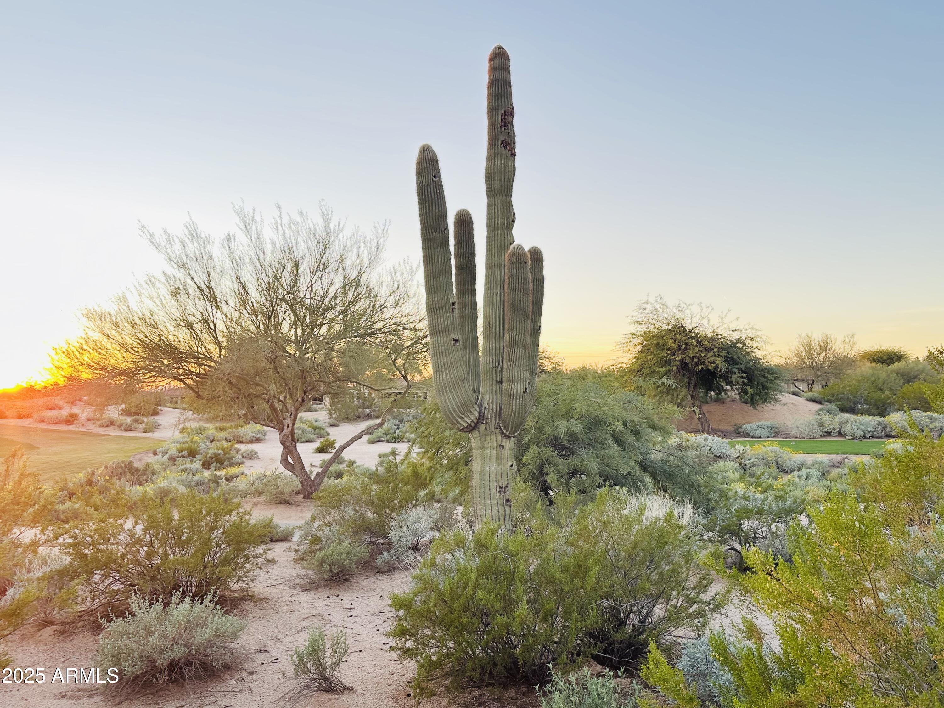 19838 Grayhawk Luxury Golf Home Rental