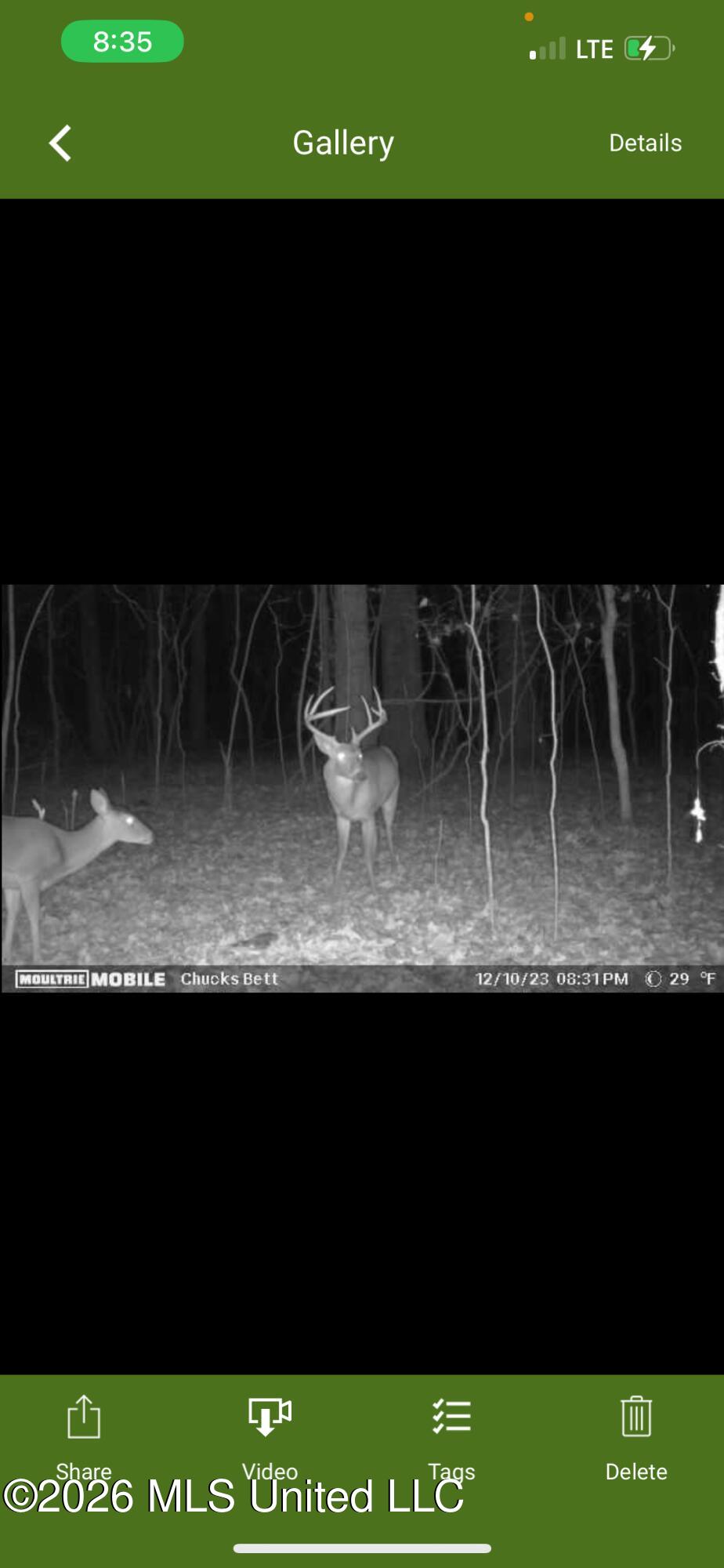 3579 Bett Road Coldwater, MS 38618 - Photo 16 of 17 IMG_1049