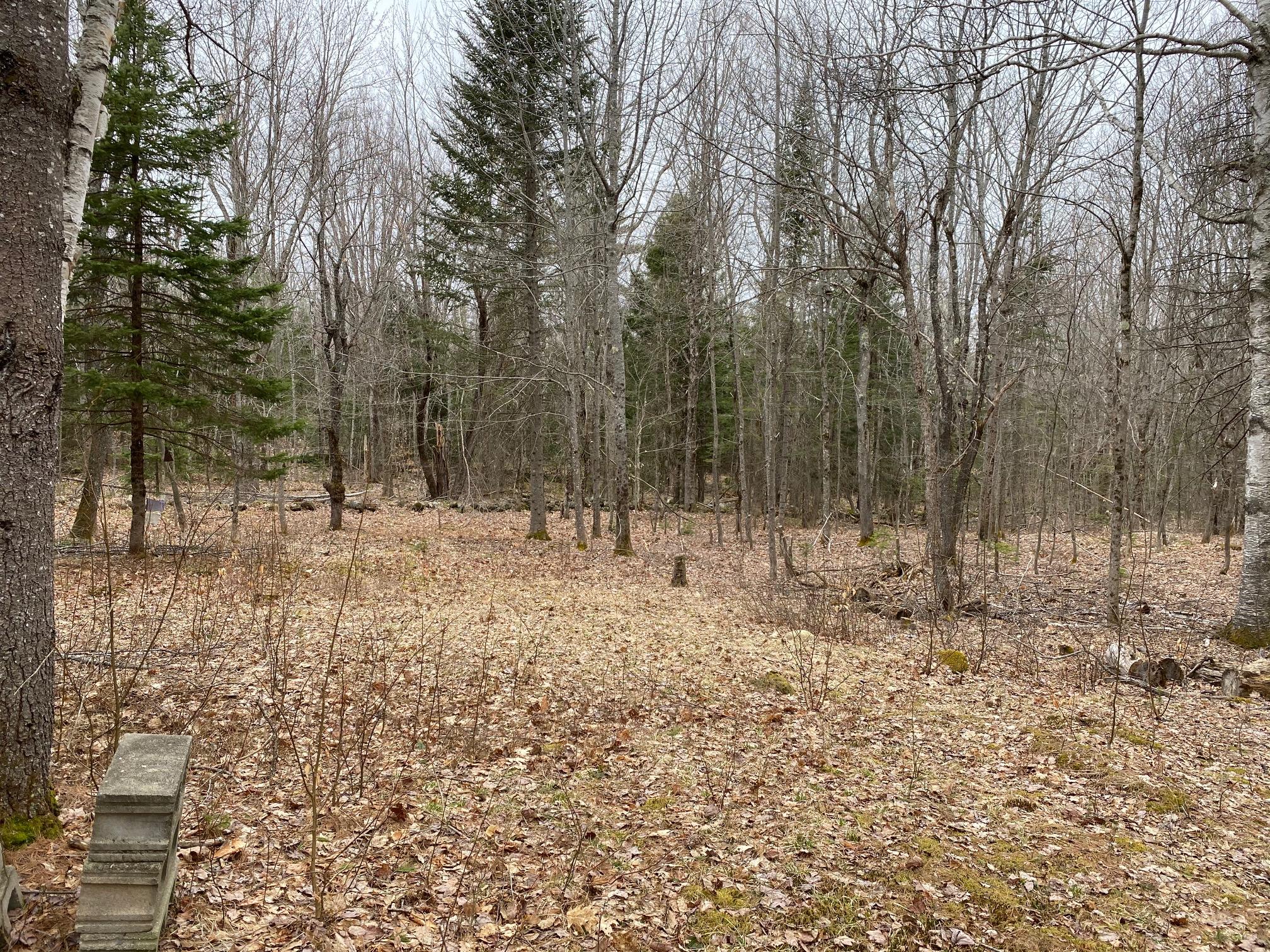 0 Goosepecker Ridge Montville, ME 04941 - Photo 4 of 20 IMG_1958
